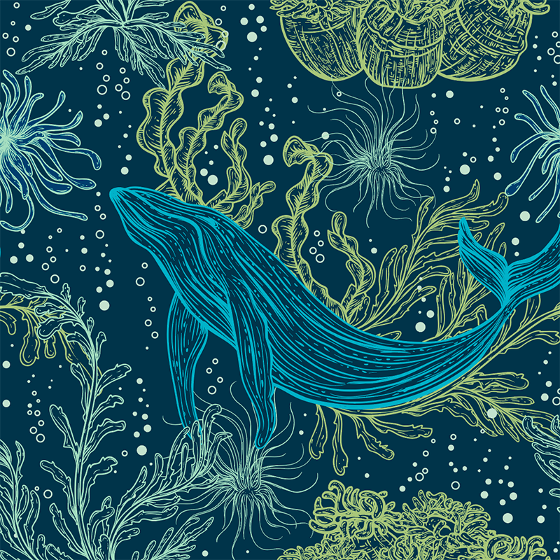 20oz-tkwide-with-twist-cap-ocean-day-s1 20oz_tkwide_bottle_seasonal_ocean_day_blue_whale_artwork_square.png