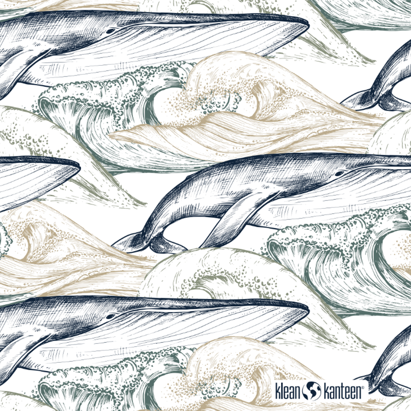20oz-tkwide-with-twist-cap-ocean-day-s1 20oz_tkwide_bottle_seasonal_ocean_day_whale_artwork_square.png