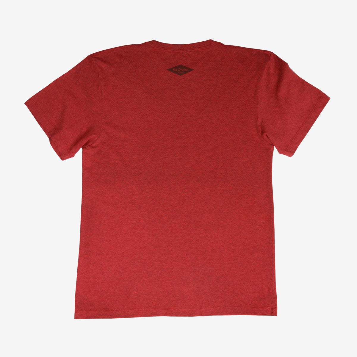 backyard-t-shirt-u3 Shirt_Mtn_Back.jpg